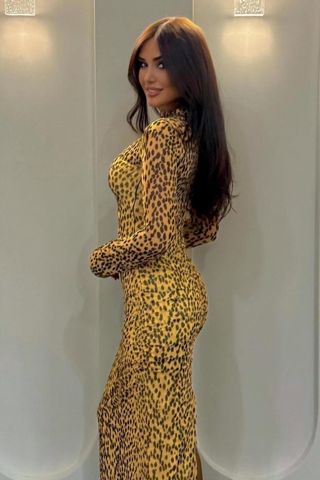 Leopard Print Mesh Long Sleeve Maxi Dress