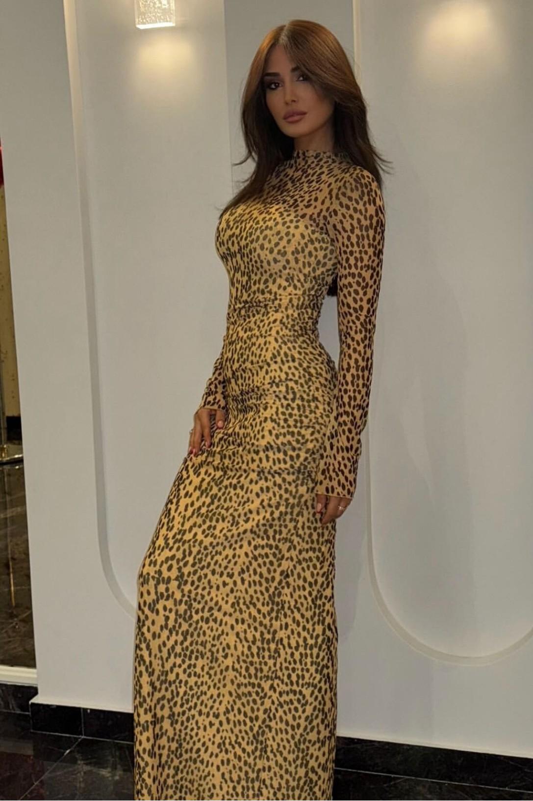 Leopard Print Mesh Long Sleeve Maxi Dress