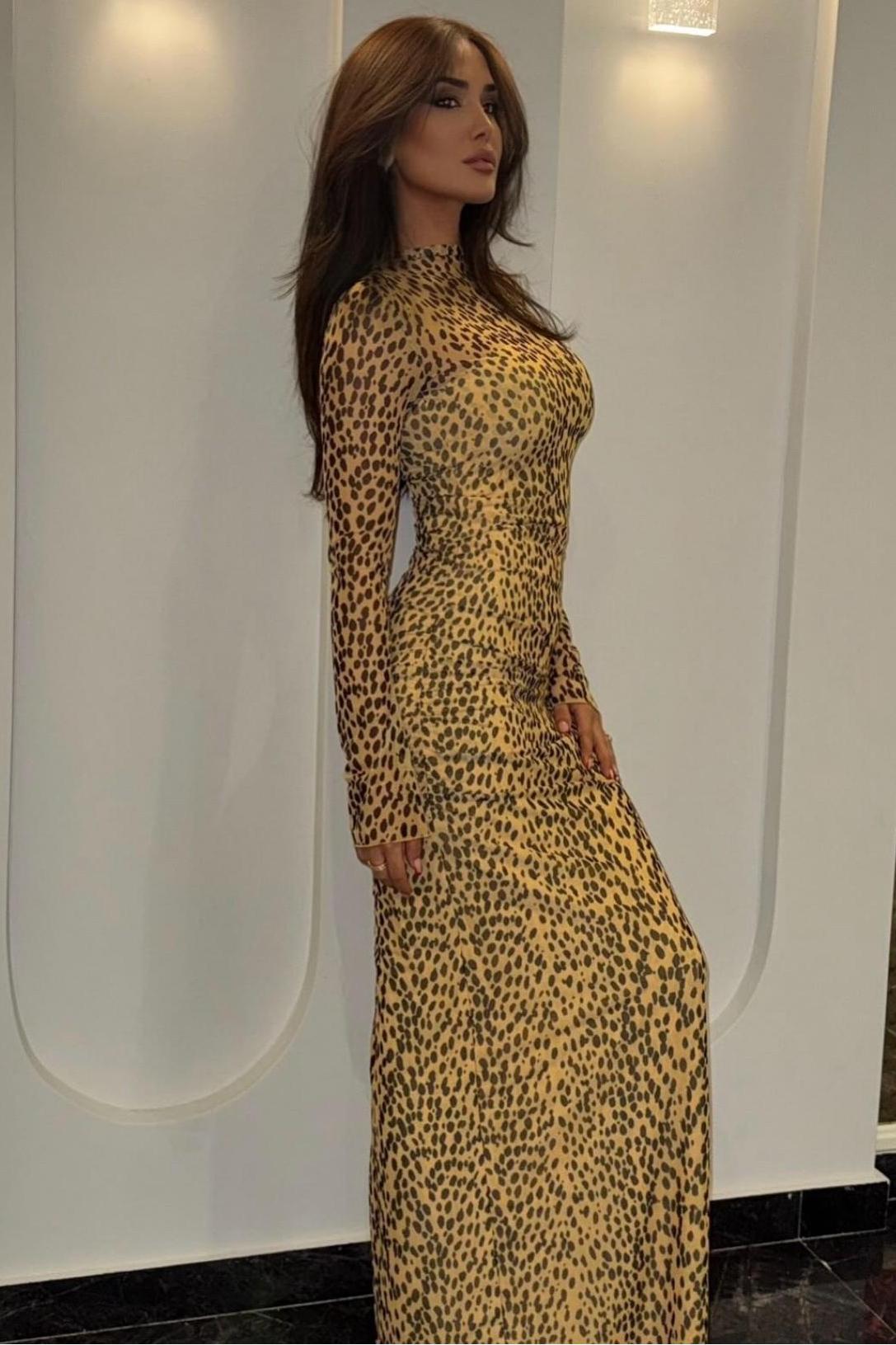 Leopard Print Mesh Long Sleeve Maxi Dress