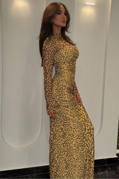 Leopard Print Mesh Long Sleeve Maxi Dress
