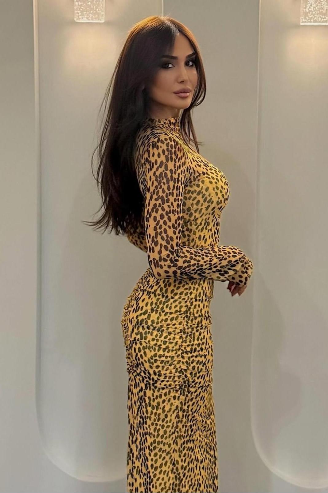 Leopard Print Mesh Long Sleeve Maxi Dress
