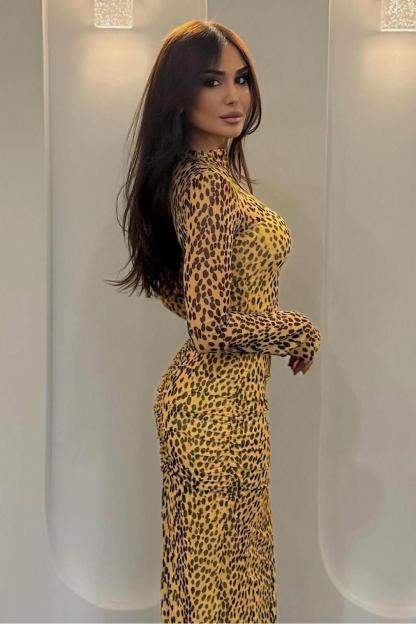 Leopard Print Mesh Long Sleeve Maxi Dress