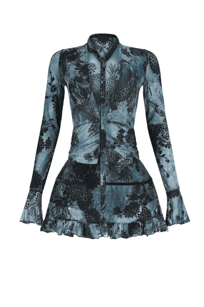 Mesh Long Sleeve Frill Mini Dress