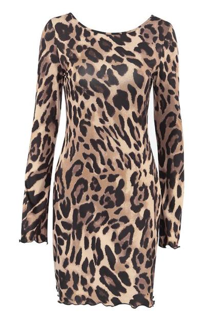 Leopard Print Tie-Up Long Sleeve Mini Dress