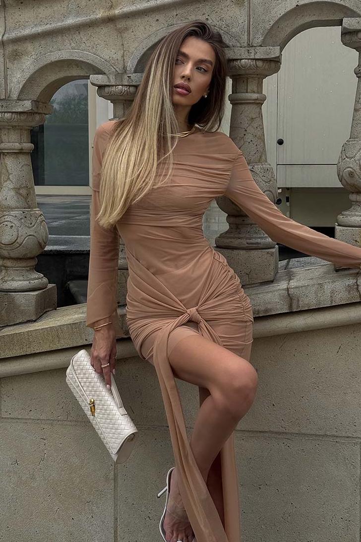 Mesh Ruched Long Sleeve Mini Dress