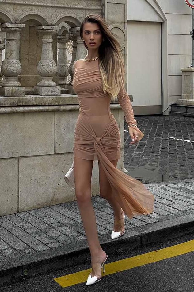 Mesh Ruched Long Sleeve Mini Dress