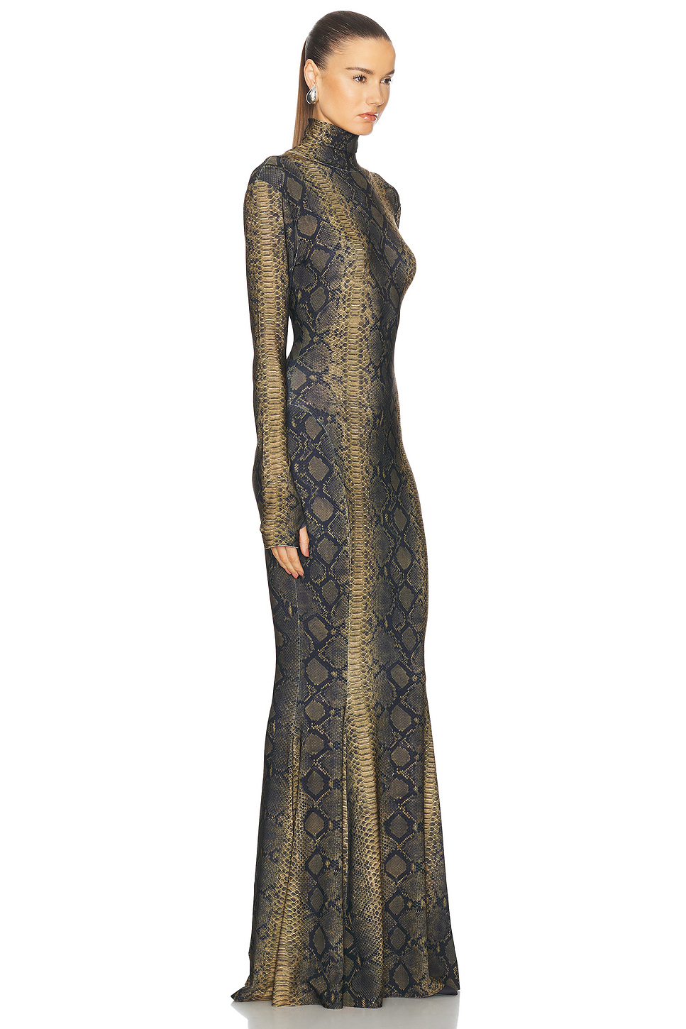 Snake Print High Neck Long Sleeve Maxi Dress