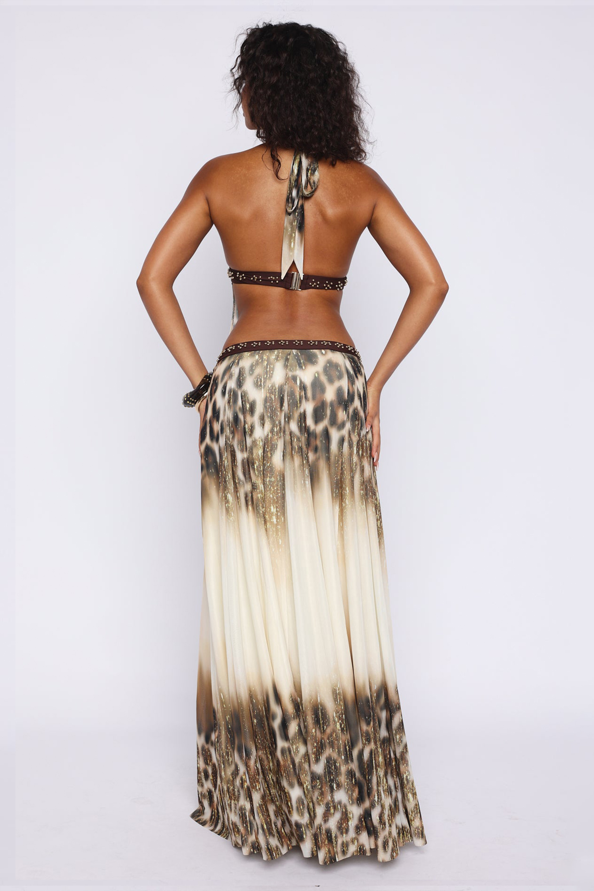 Leopard Print Mesh Cut-Out Maxi Dress