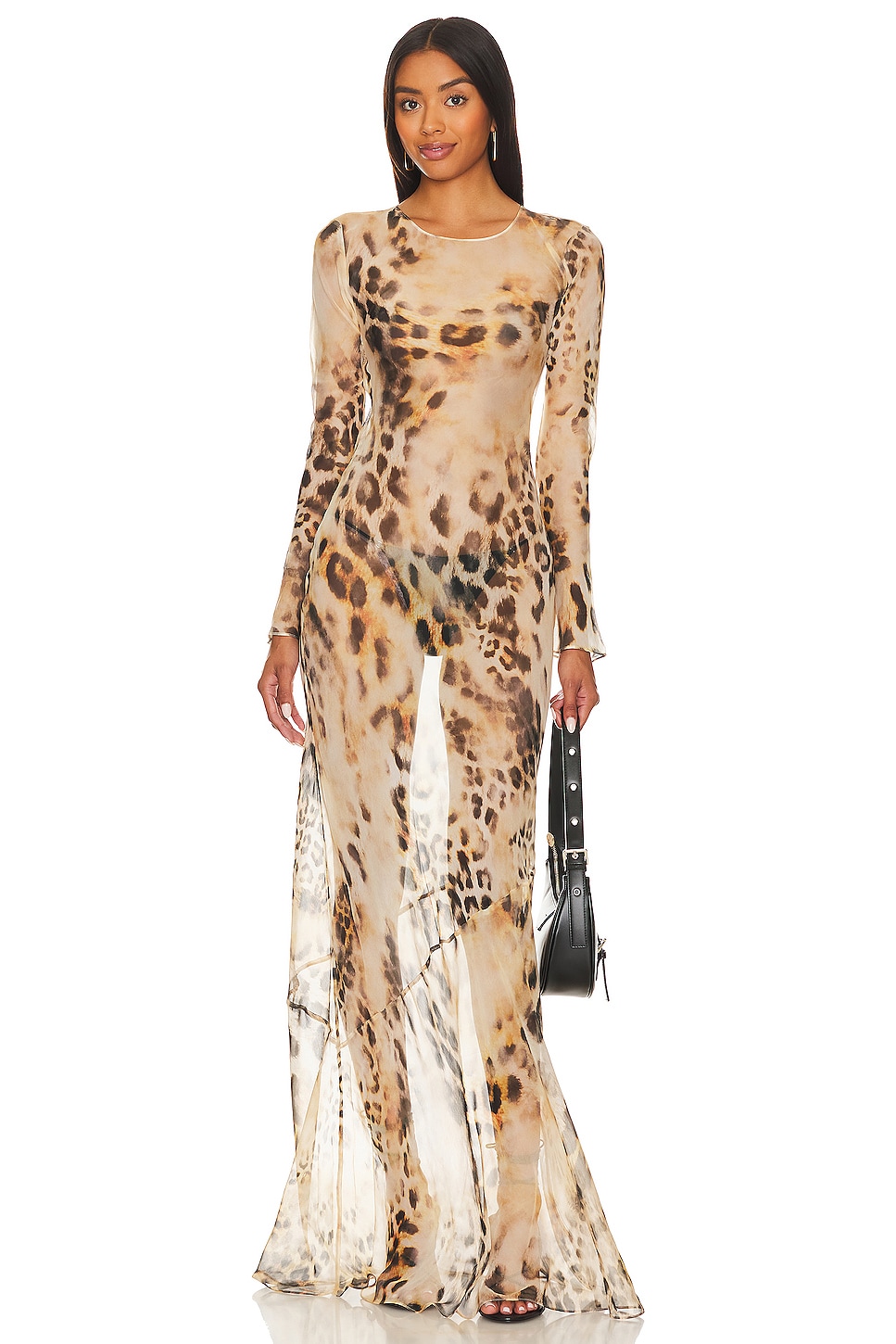 Mesh Leopard Print  Long Sleeve Maxi Dress