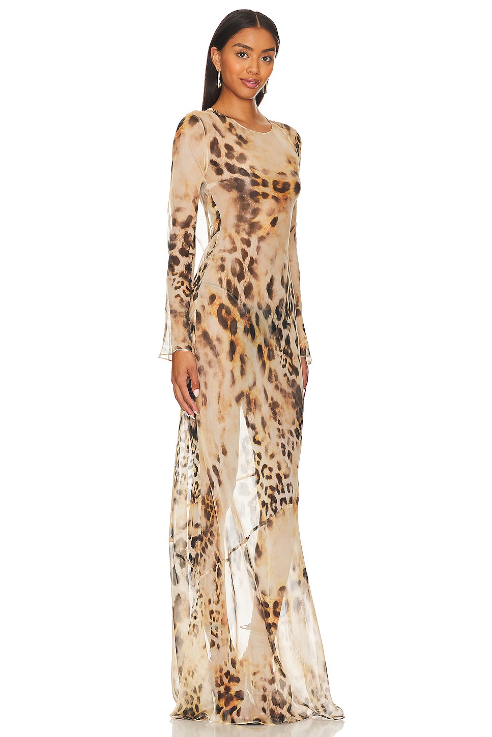 Mesh Leopard Print  Long Sleeve Maxi Dress