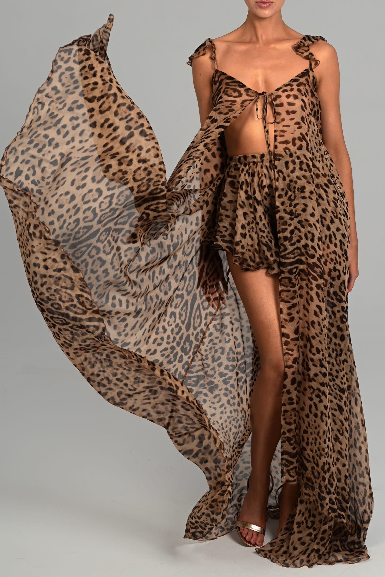 Leopard Print See-Through Tie-Up Top & Shorts Set