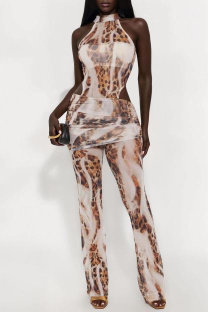 Mesh Leopard Print See-Through Top & Ruched Pants Set