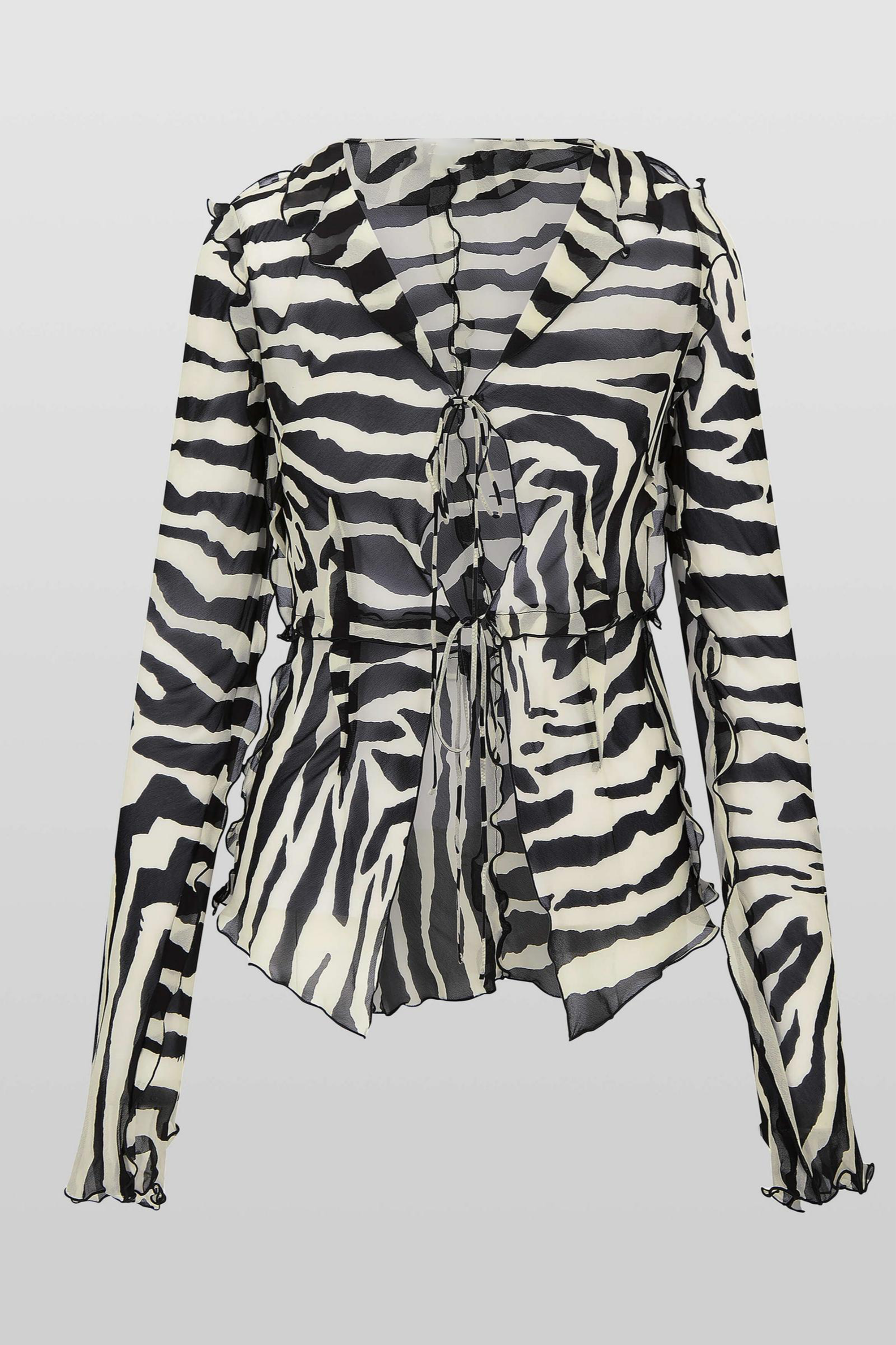 Zebra Print Sheer Ruffle Two Piece Set