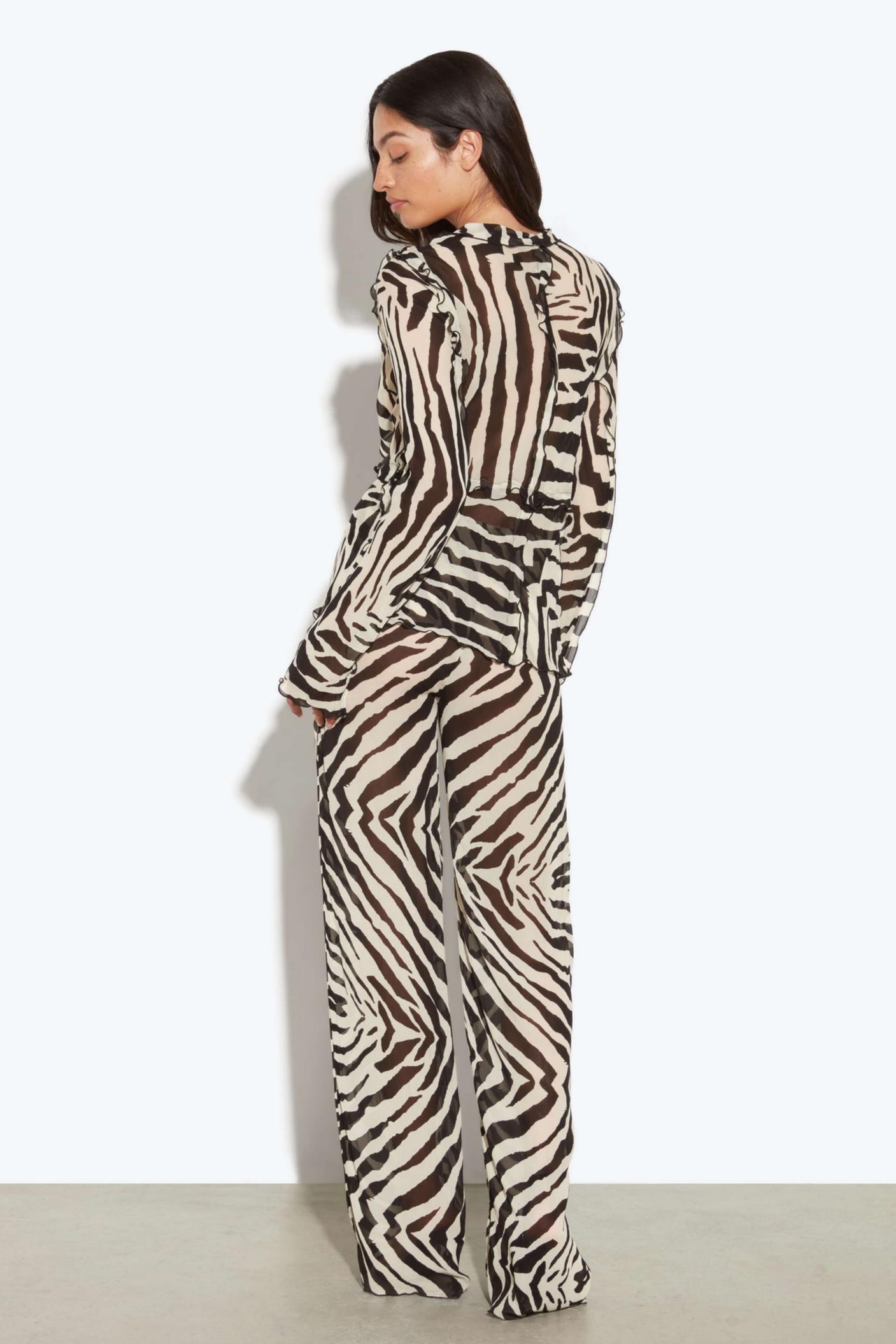 Zebra Print Sheer Ruffle Two Piece Set