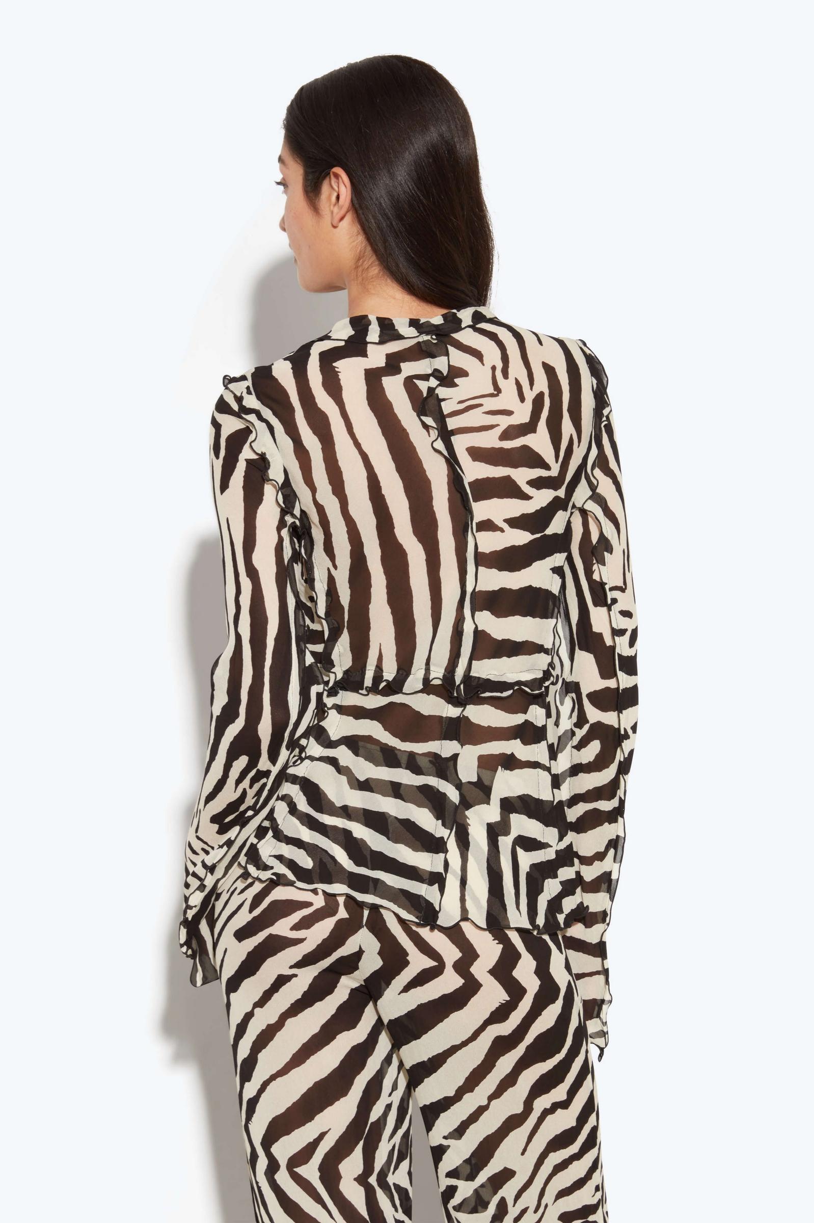 Zebra Print Sheer Ruffle Two Piece Set