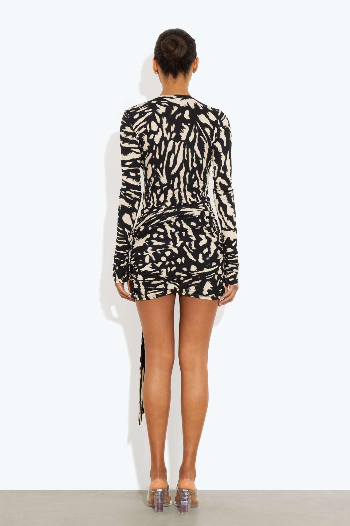 Animal Print Single Breasted Long Sleeve Mini Dress