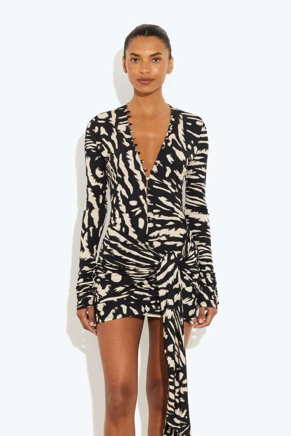 Animal Print Single Breasted Long Sleeve Mini Dress