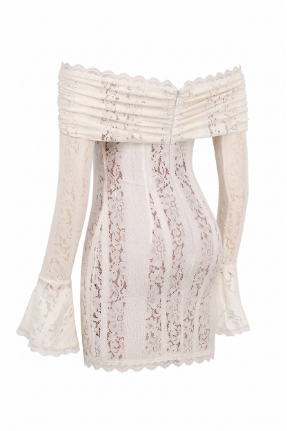 Lace See-Through Long Sleeve Mini Dress