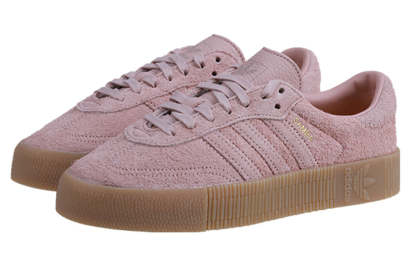 Adthtidthtas Sathtmbarose 'Ash Pearl' B37861