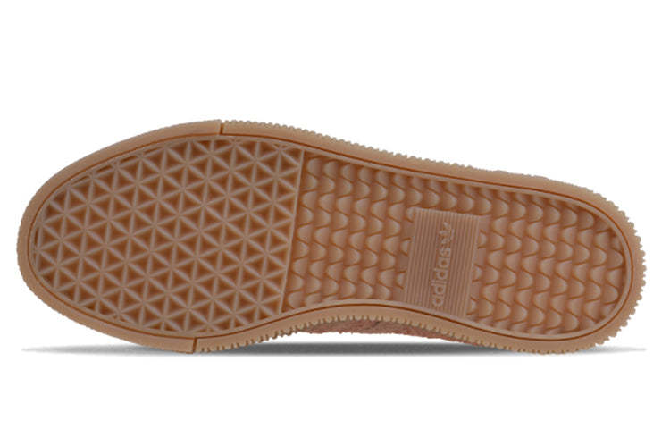 Adthtidthtas Sathtmbarose 'Ash Pearl' B37861