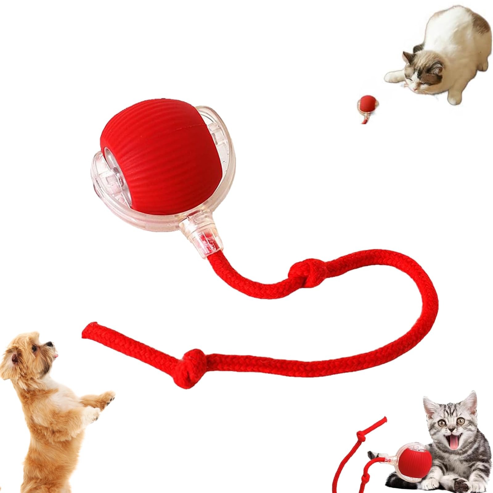 LAST DAY 50% OFF🔥RolliePet smart chase pet toy ball