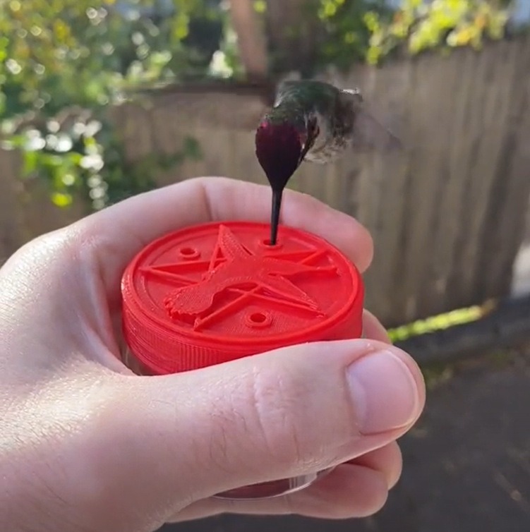 🔥Last Day Clearance Sale 49% OFF🔥 Beautiful Mason Jar Hummingbird Feeder-BUY 3 FREE SHIPPING