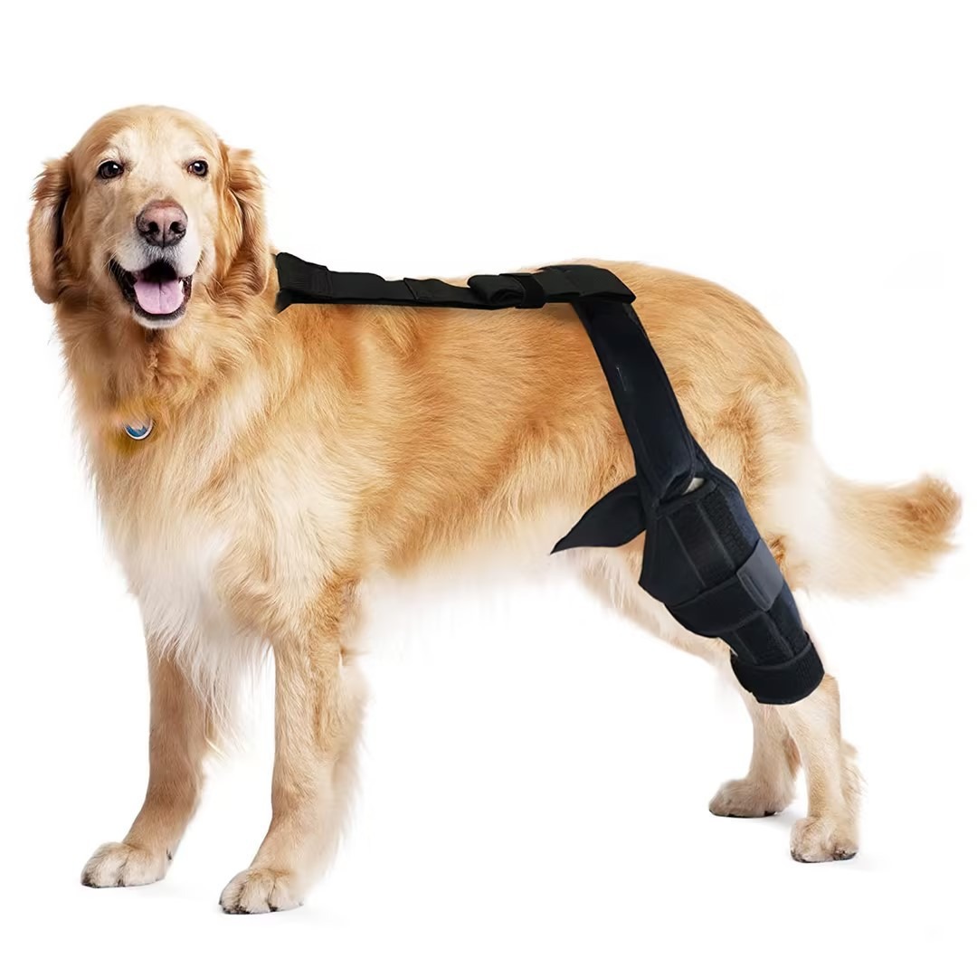 Hinged Knee Brace for Dogs