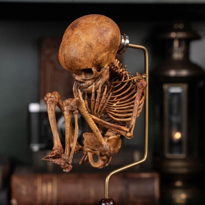 ☠️Early Halloween Special 49% OFF☠️3D Printed Human Fetus, Infant baby skeleton, hand painted figurine, creepy horror decor, curio cabinet gift
