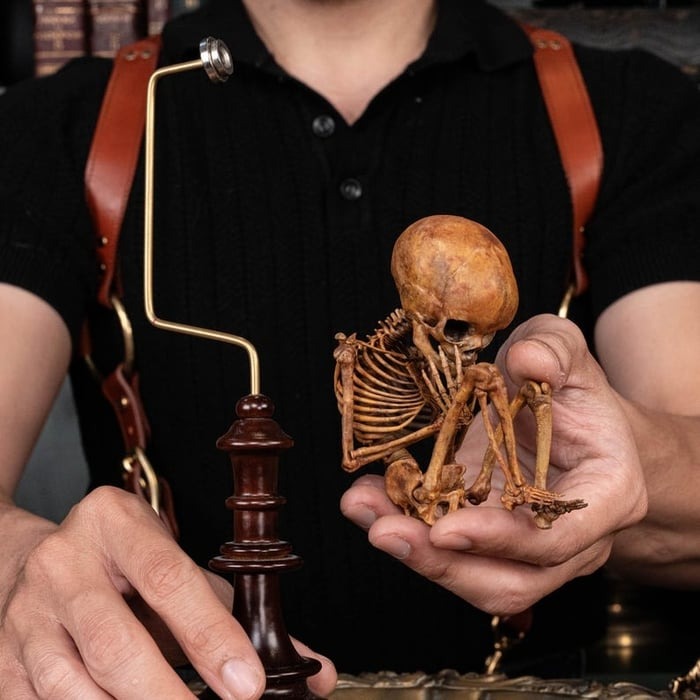 ☠️Early Halloween Special 49% OFF☠️3D Printed Human Fetus, Infant baby skeleton, hand painted figurine, creepy horror decor, curio cabinet gift