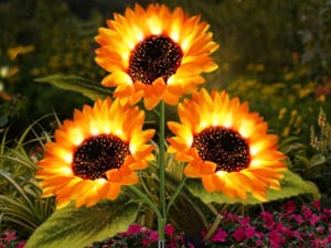 🌻Factory Direct Sales 49% Off - 🌞Solar LED Sunflower Garden Lights-29.6inch/74cm