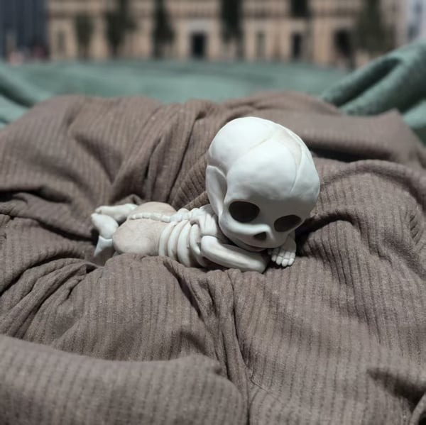 🖤Halloween Pre-Sale 49% Off💀Reborn Silicone Skeleton Baby🍼