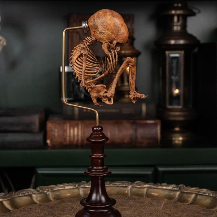 ☠️Early Halloween Special 49% OFF☠️3D Printed Human Fetus, Infant baby skeleton, hand painted figurine, creepy horror decor, curio cabinet gift