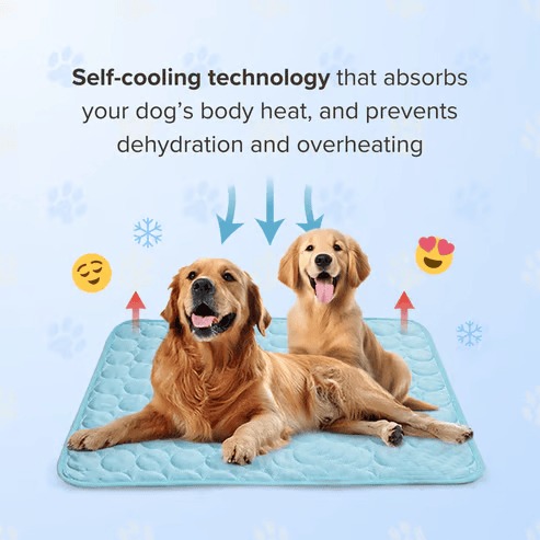🔥 🐾Dog Cooling Mat (4x more effective)