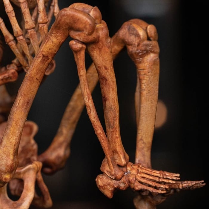 ☠️Early Halloween Special 49% OFF☠️3D Printed Human Fetus, Infant baby skeleton, hand painted figurine, creepy horror decor, curio cabinet gift