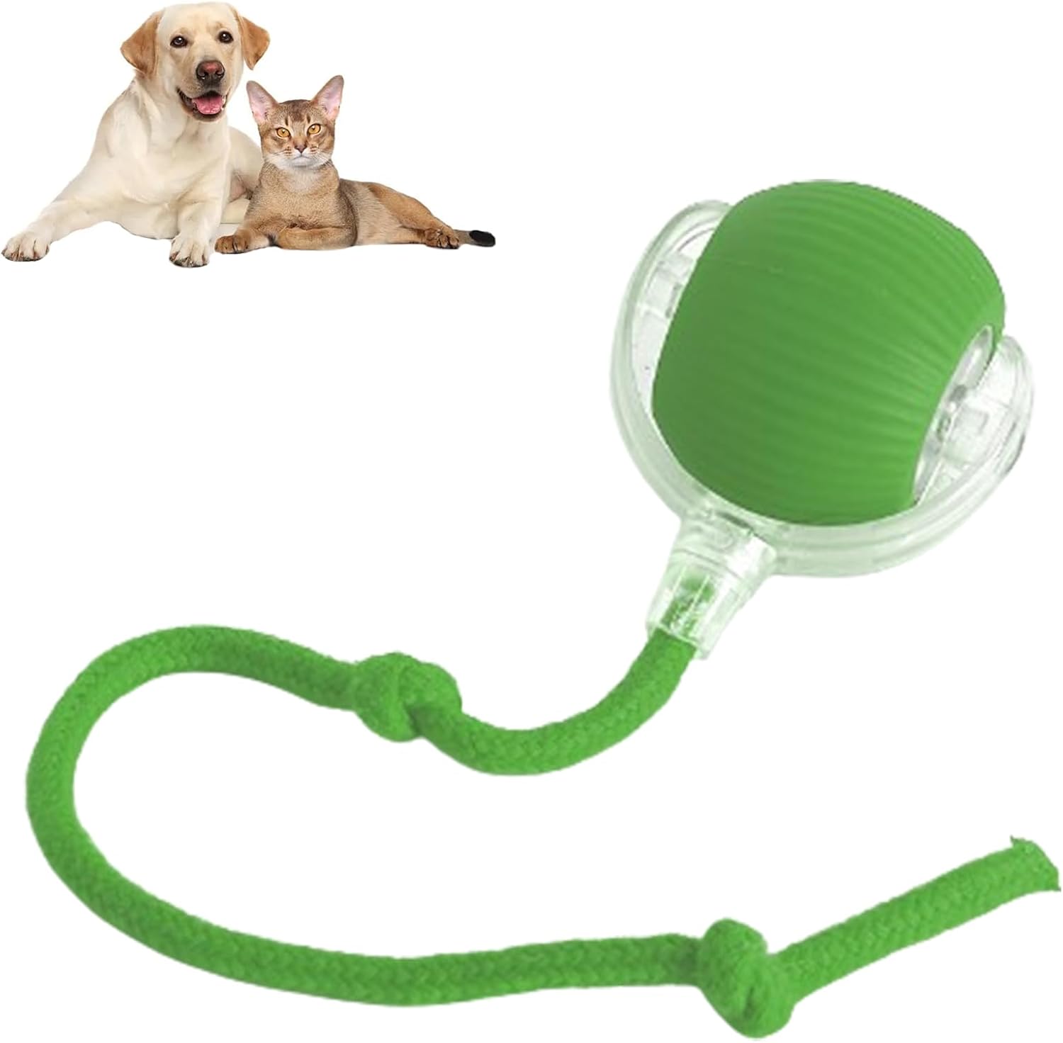 LAST DAY 50% OFF🔥RolliePet smart chase pet toy ball