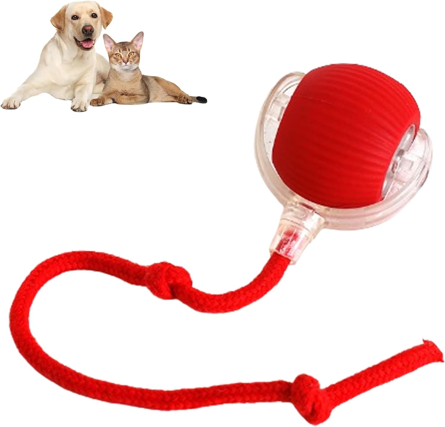 LAST DAY 50% OFF🔥RolliePet smart chase pet toy ball