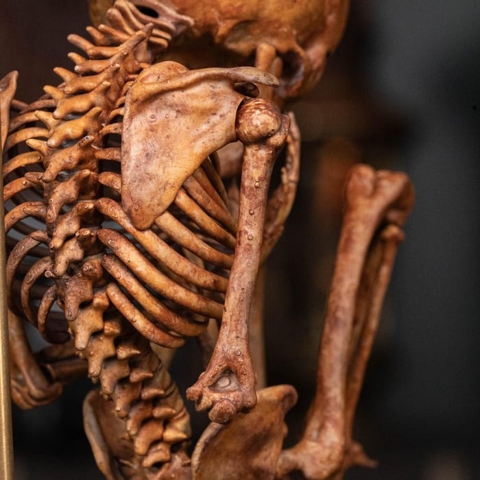 ☠️Early Halloween Special 49% OFF☠️3D Printed Human Fetus, Infant baby skeleton, hand painted figurine, creepy horror decor, curio cabinet gift