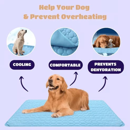 🔥 🐾Dog Cooling Mat (4x more effective)