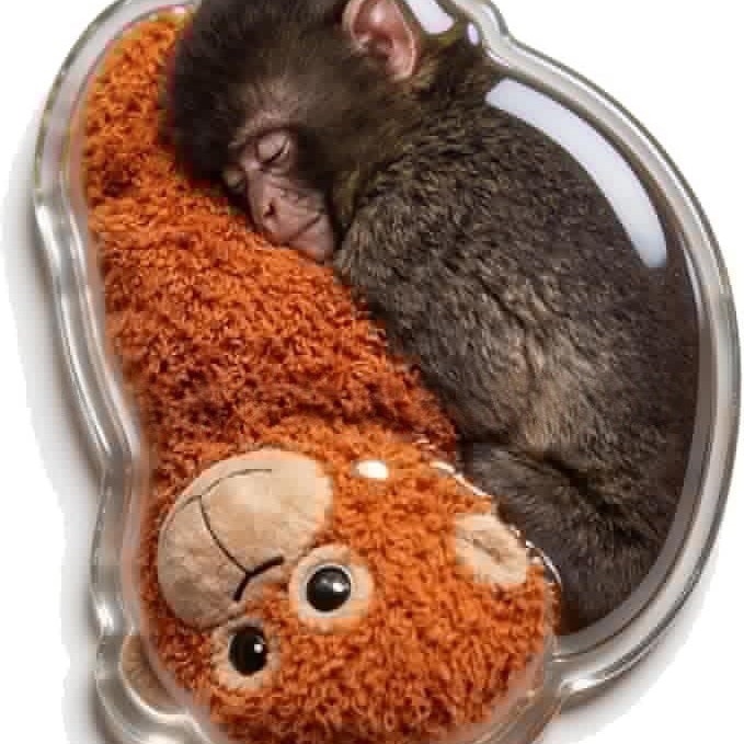 🏆New Year 60% OFF-🐒 Tiny Monkey Comfort Magnets A Little Hug for Your Everyday Life