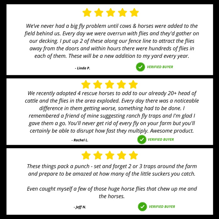 🎃Early Halloween Sale 60% OFF - ☠💚Cauldron Halloween Decor with Magic Floating Potion Bottles & Diffuser