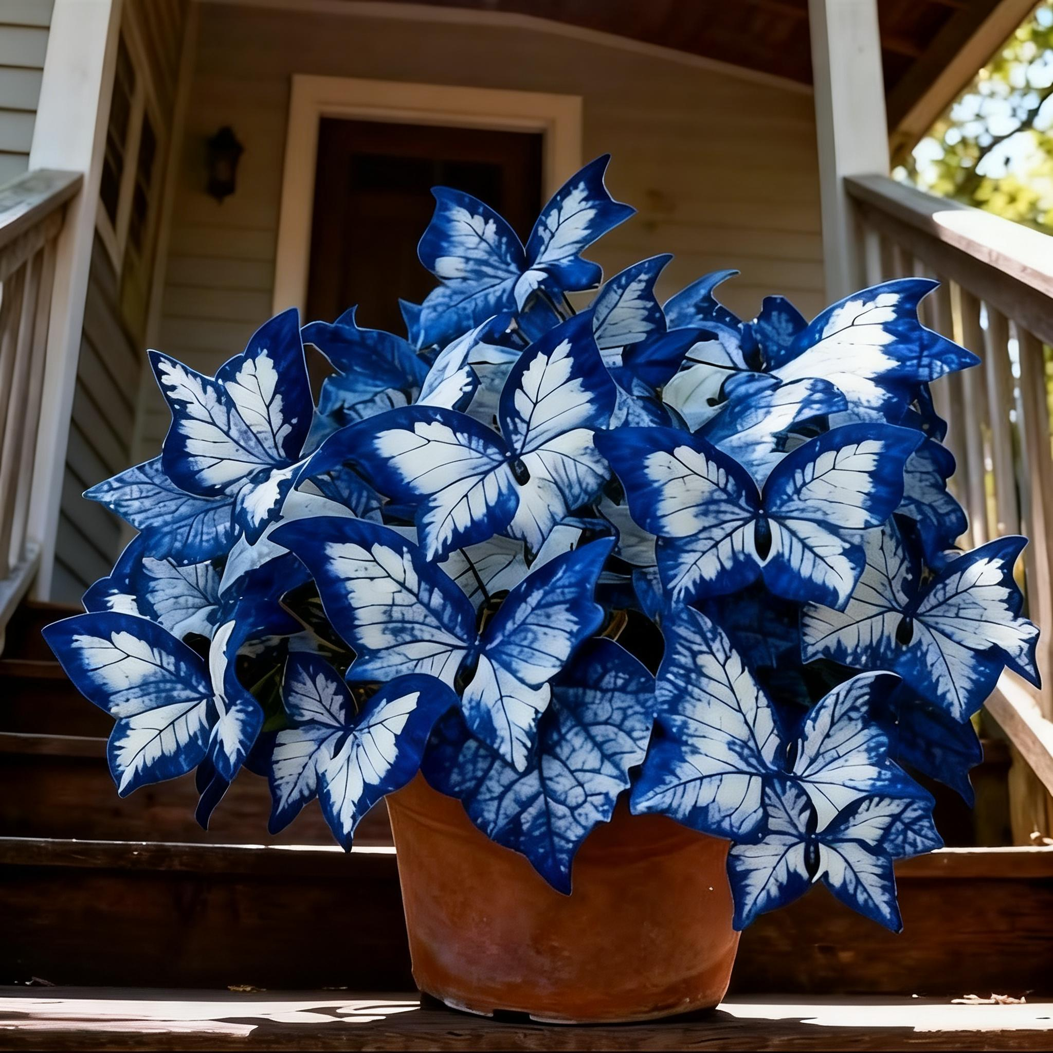 🔥Last Day: BUY 3 GET 1 FREE - 🍃🦋 Butterfly Leaf Hosta Seeds: Add a Touch of Whimsy to Your Garden!(🌿1 pack = 100 Seeds)