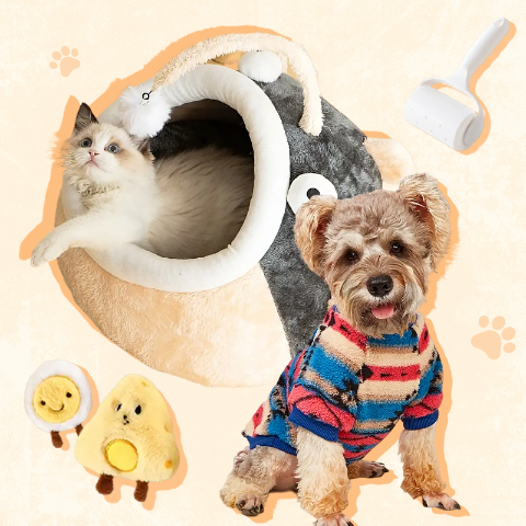 🐾 PET Essentials 🐶