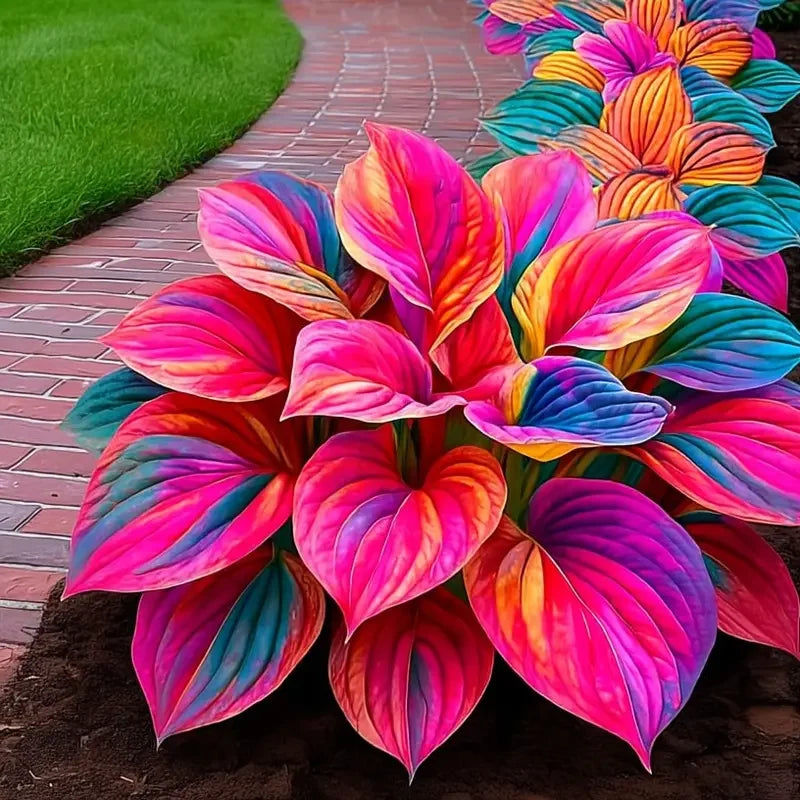 💥LAST DAY SALE 50%OFF💥🌿Premium Rare Hosta Seeds