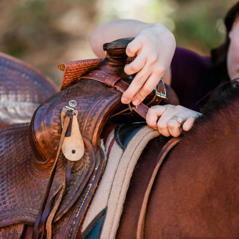 Personalized Horse Saddle Bag