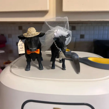 Cow Cake Topper Wedding Anniversary Bride Groom Personalized Unique Barn Gifts