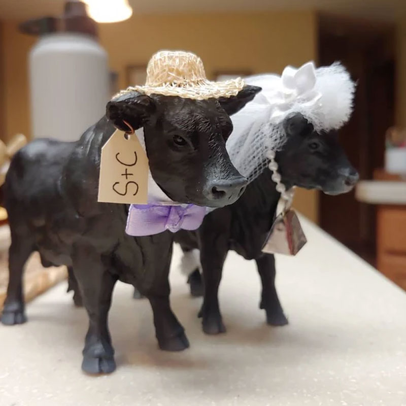 Cow Cake Topper Wedding Anniversary Bride Groom Personalized Unique Barn Gifts