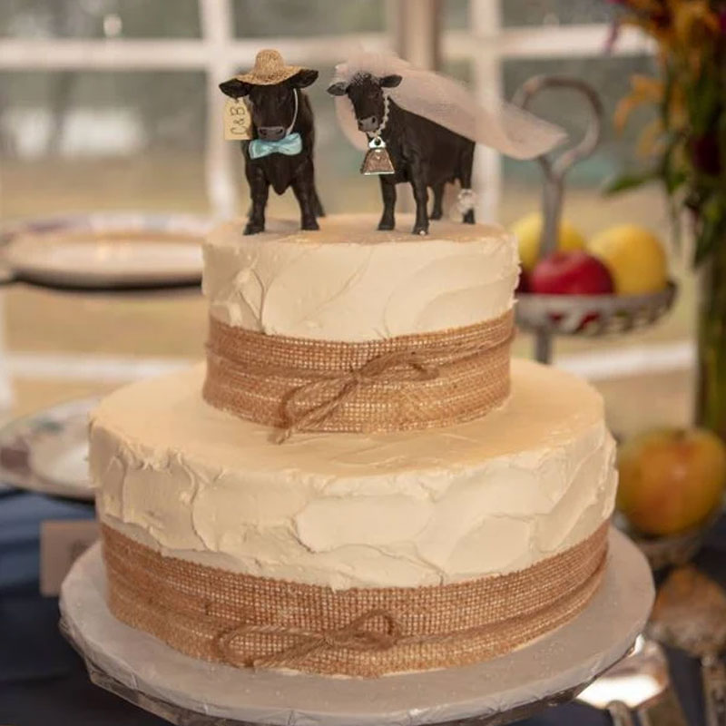 Cow Cake Topper Wedding Anniversary Bride Groom Personalized Unique Barn Gifts