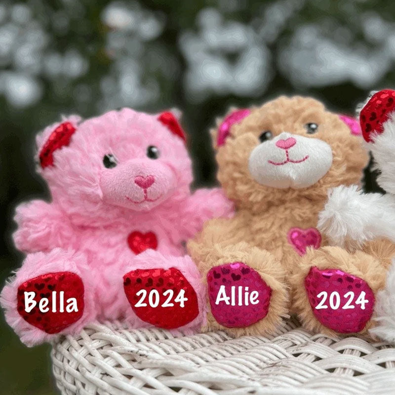 Valentine’s Day Teddy Bears Custom Valentines Toy