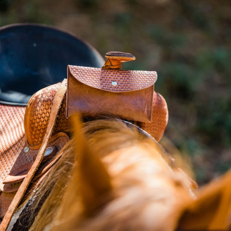 Personalized Horse Saddle Bag