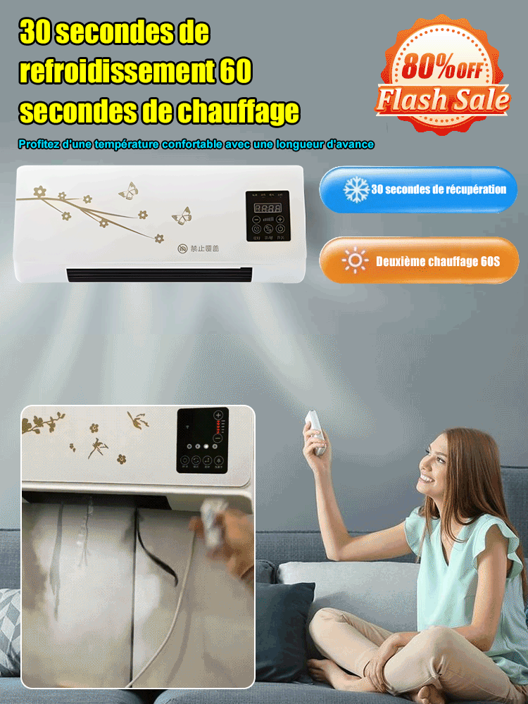 Climatiseur mural double vent